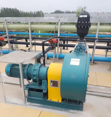 軟管泵污泥泵送 